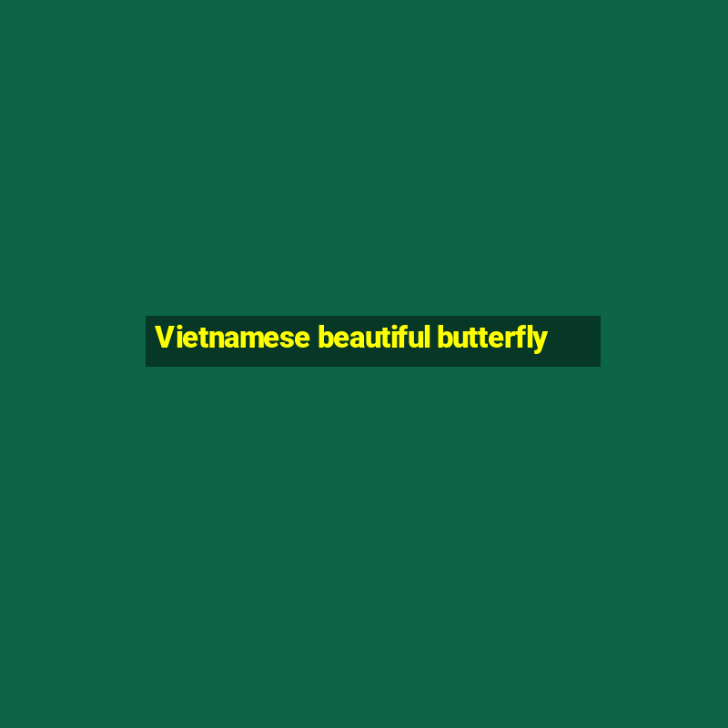 Vietnamese beautiful butterfly