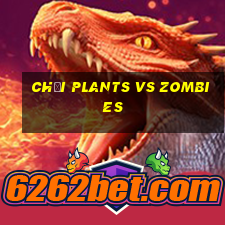 chơi plants vs zombies