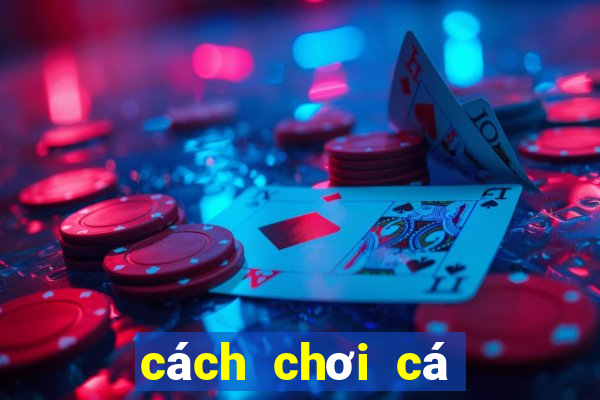 cách chơi cá độ bóng đá