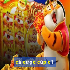 cá cược cúp c1