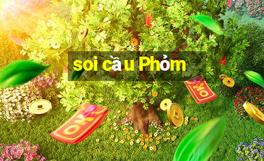 soi cầu Phỏm