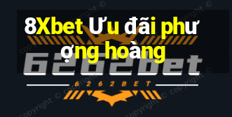 8Xbet Ưu đãi phượng hoàng