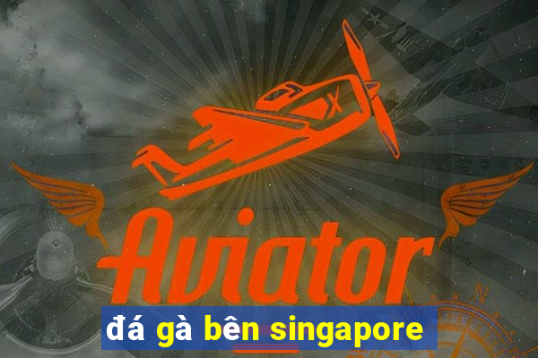 đá gà bên singapore