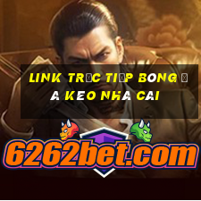 link trực tiếp bóng đá kèo nhà cái