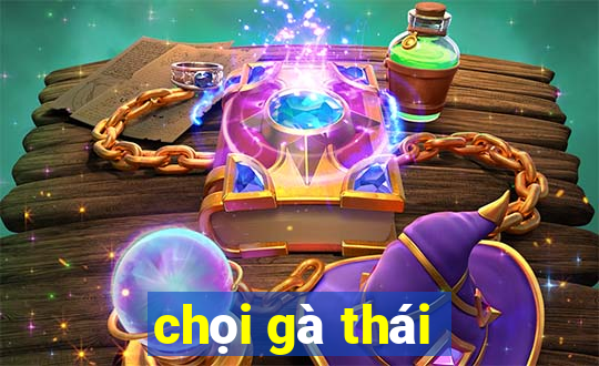 chọi gà thái