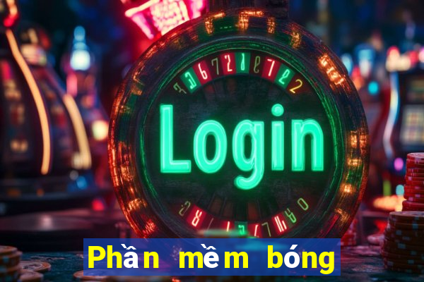 Phần mềm bóng đá Cúp C1 Châu Âu 2024