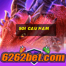 soi cau nam