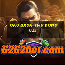 cau bach thu dong nai