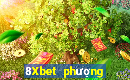 8Xbet phượng hoàng Android