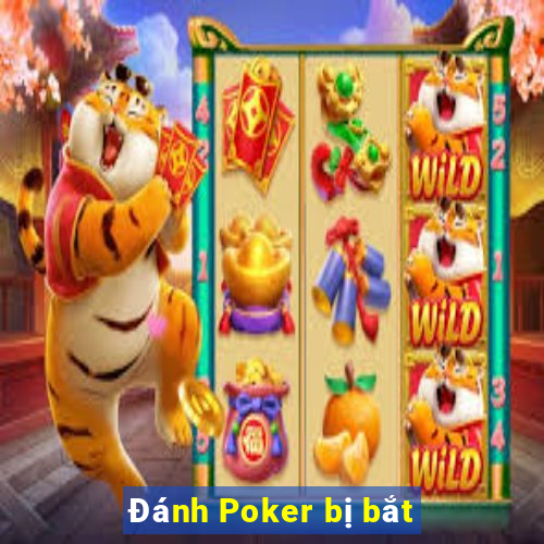 Đánh Poker bị bắt