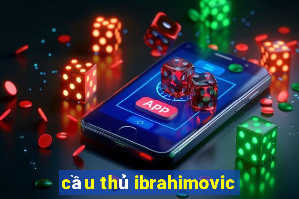 cầu thủ ibrahimovic