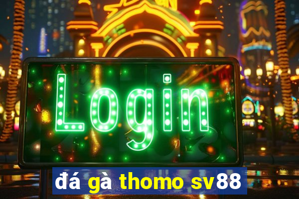 đá gà thomo sv88