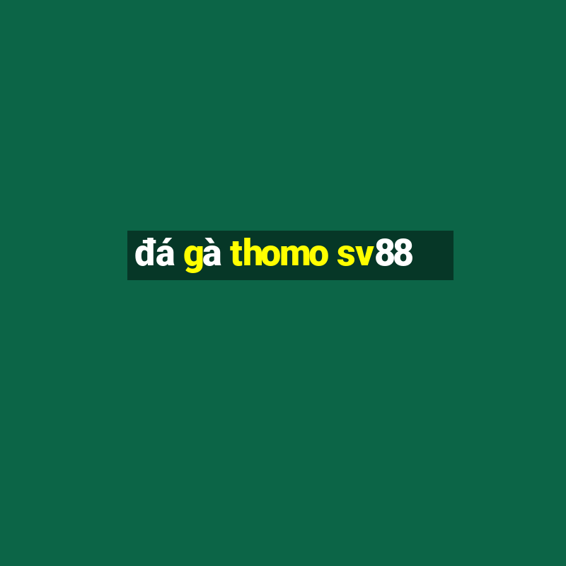 đá gà thomo sv88