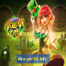 dầu gội trị bết