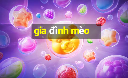 gia đình mèo