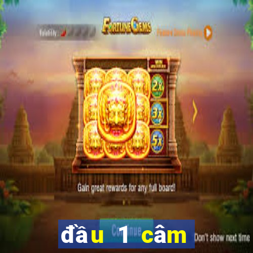 đầu 1 câm đánh con gì