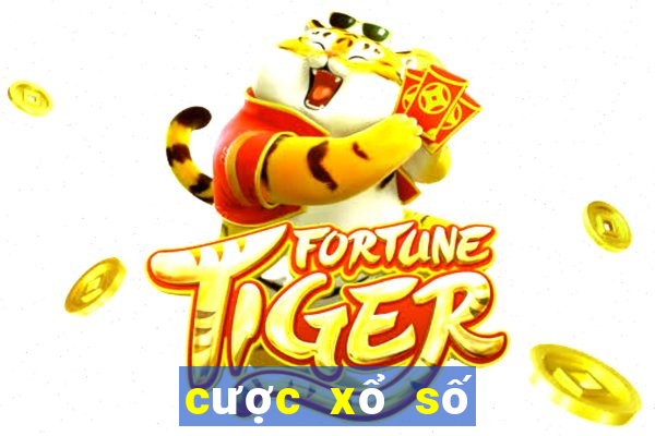 cược xổ số miền trung