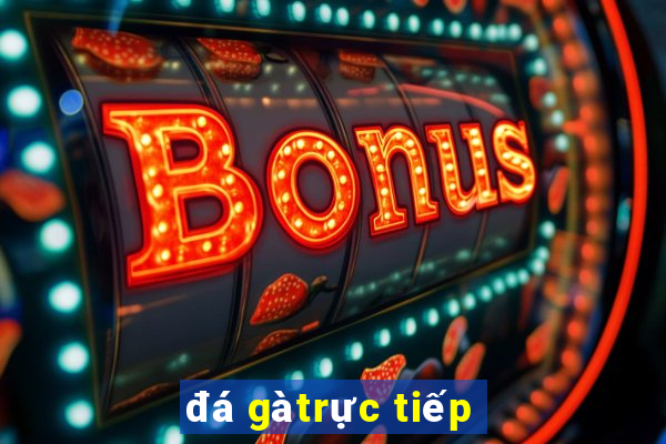 đá gà trực tiếp