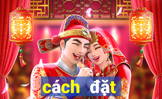 cách đặt cược Phỏm