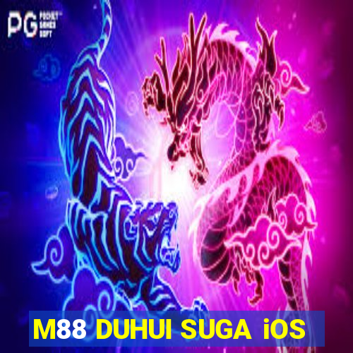 M88 DUHUI SUGA iOS