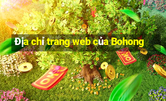 Địa chỉ trang web của Bohong