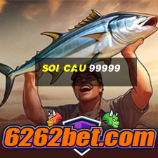 soi cau 99999