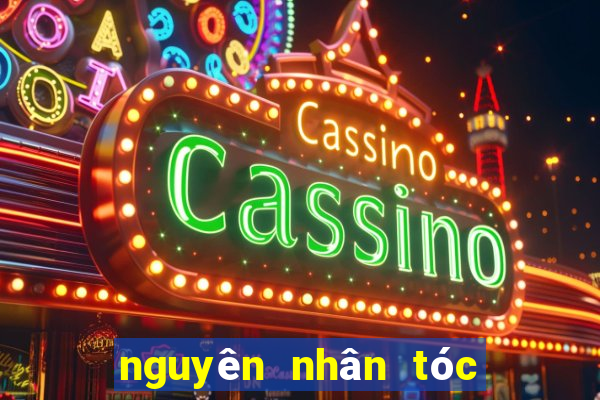 nguyên nhân tóc nhanh bết