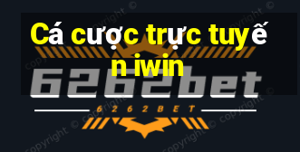 Cá cược trực tuyến iwin