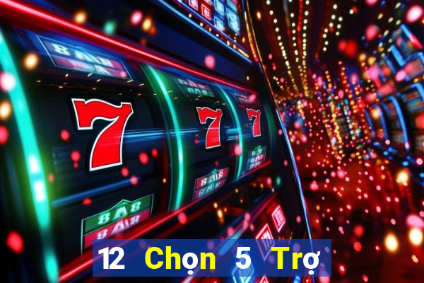 12 Chọn 5 Trợ lý Tải về