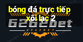 bóng đá trực tiếp xôi lạc 2