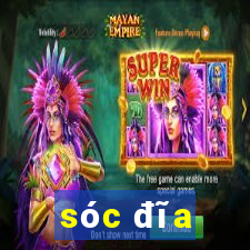 sóc đĩa