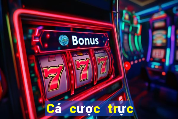 Cá cược trực tuyến Boa Club