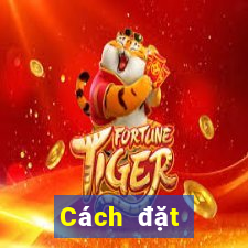 Cách đặt cược XSTV thứ Ba