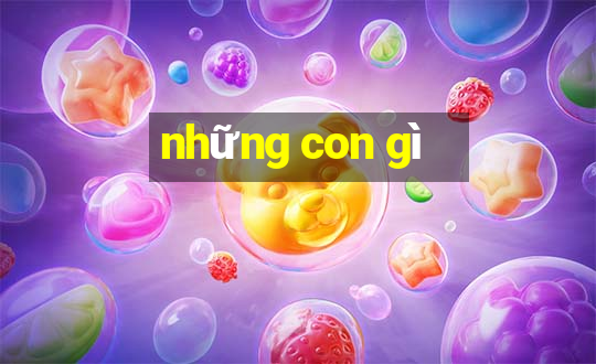 những con gì