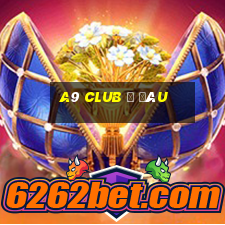 a9 club ở đâu