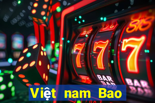 Việt nam Bao Ying International