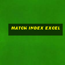 match index excel