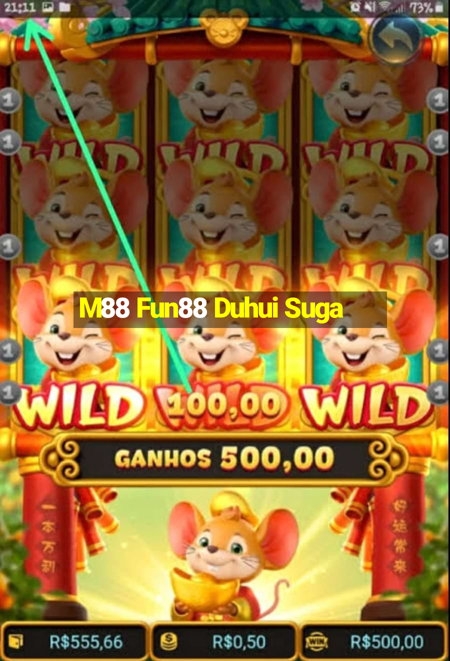 M88 Fun88 Duhui Suga