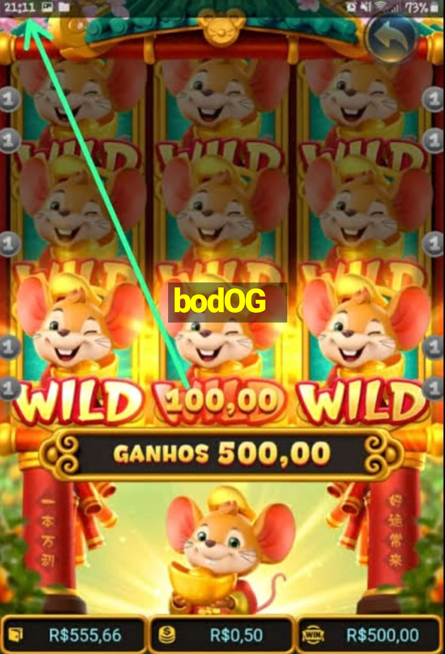 bodOG