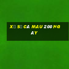 xổ số cà mau 200 ngày