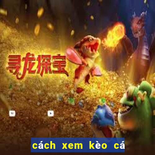 cách xem kèo cá cược bóng đá trên mạng