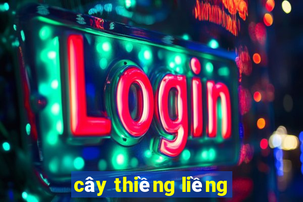 cây thiềng liềng