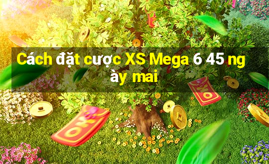 Cách đặt cược XS Mega 6 45 ngày mai