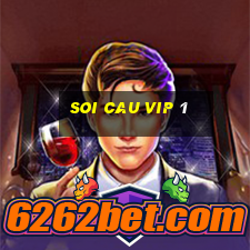 soi cau vip 1