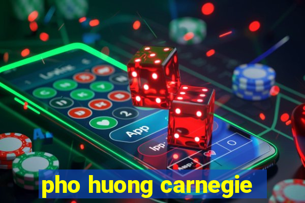 pho huong carnegie