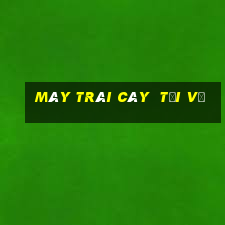 Máy trái cây  tải về