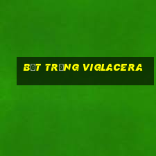 bệt trứng viglacera