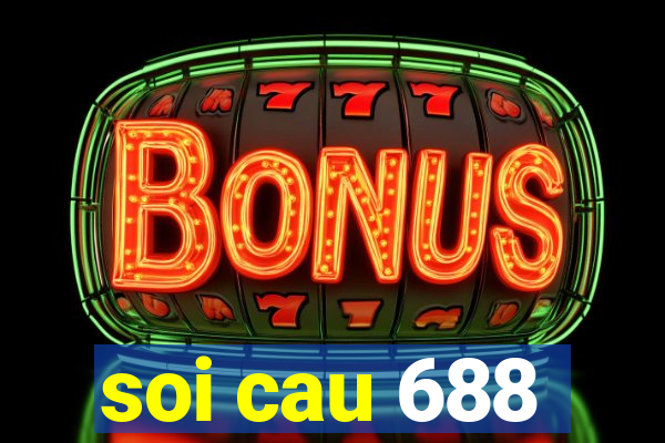 soi cau 688