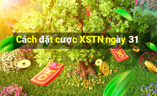 Cách đặt cược XSTN ngày 31