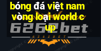 bóng đá việt nam vòng loại world cup